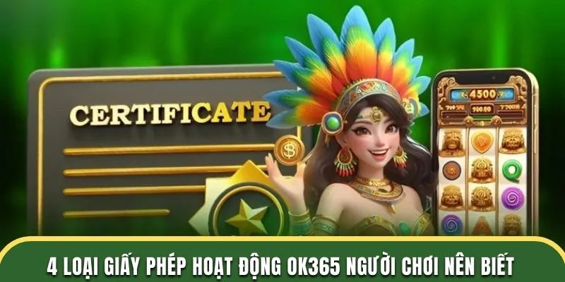 4 loại giấy phép hoạt động OK365