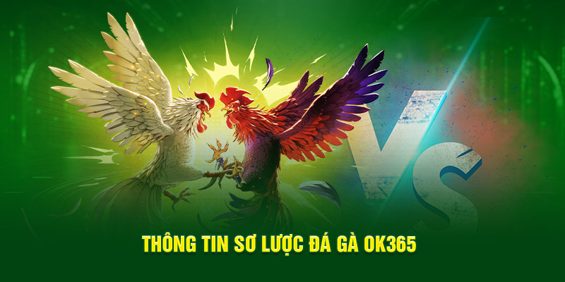 Thông tin sơ lược về các loại hình tại đá gà OK365